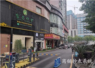 商鋪抄表系統(tǒng)實(shí)現(xiàn)商鋪的高效管理—老王說表