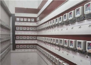 遠(yuǎn)程抄表系統(tǒng)開啟城市資源管理新范式—老王說表